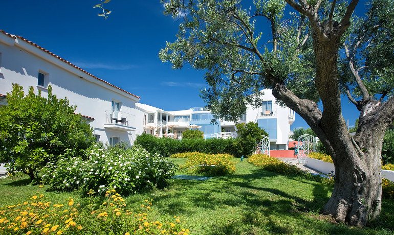 The Pelican Beach Resort Spa garden