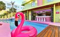 Tropicana Ibiza Coast Suites flamingo
