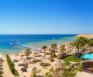 Adults Only hotels in Egypt