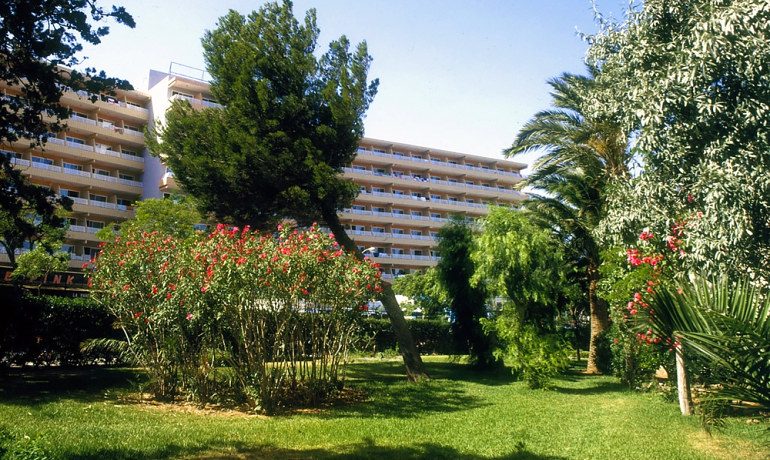 Hotel Barracuda garden area